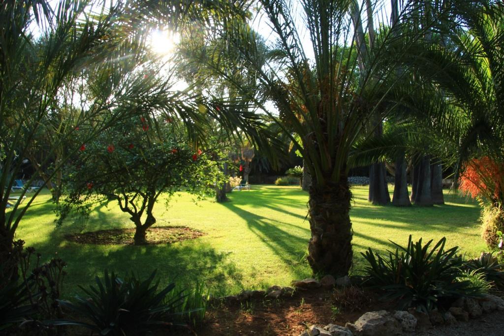 Finca Hotel Predio Son Serra